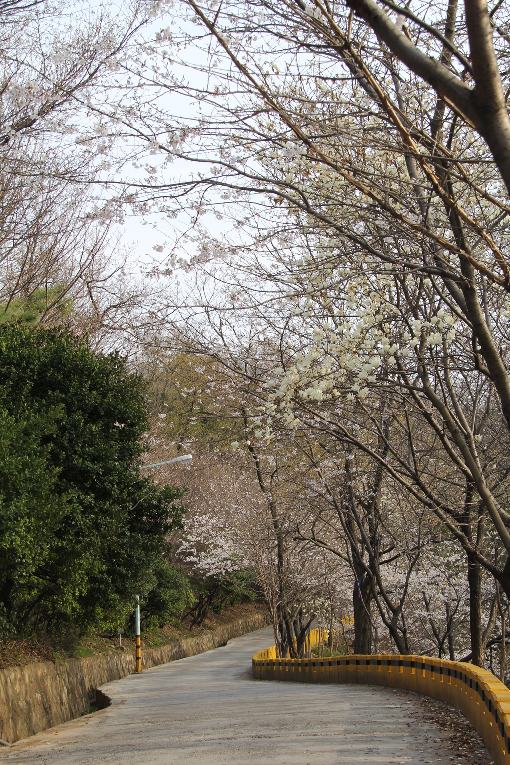 시청 109.jpg